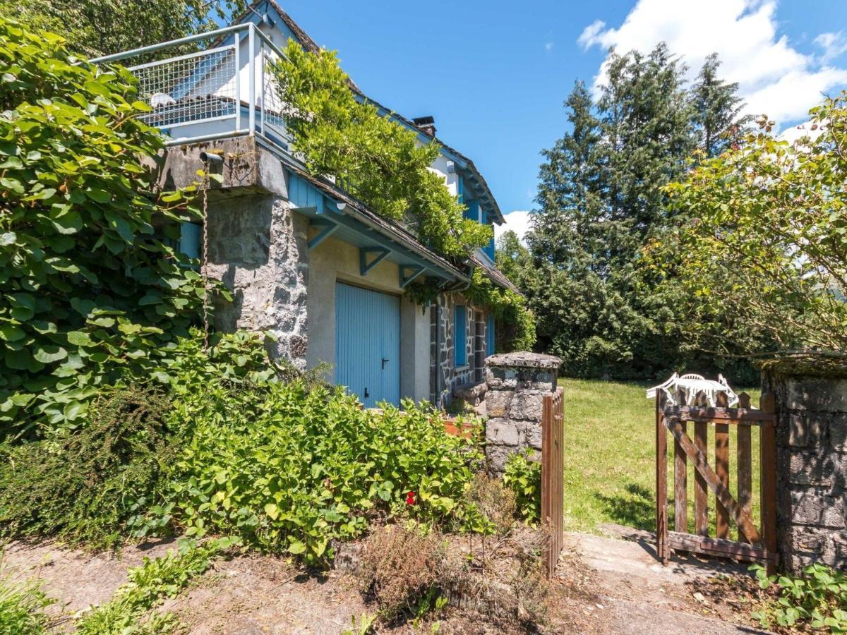 Beautiful Villa In The Parc Des Volcans D Auvergne Vic-sur-Cere Ngoại thất bức ảnh