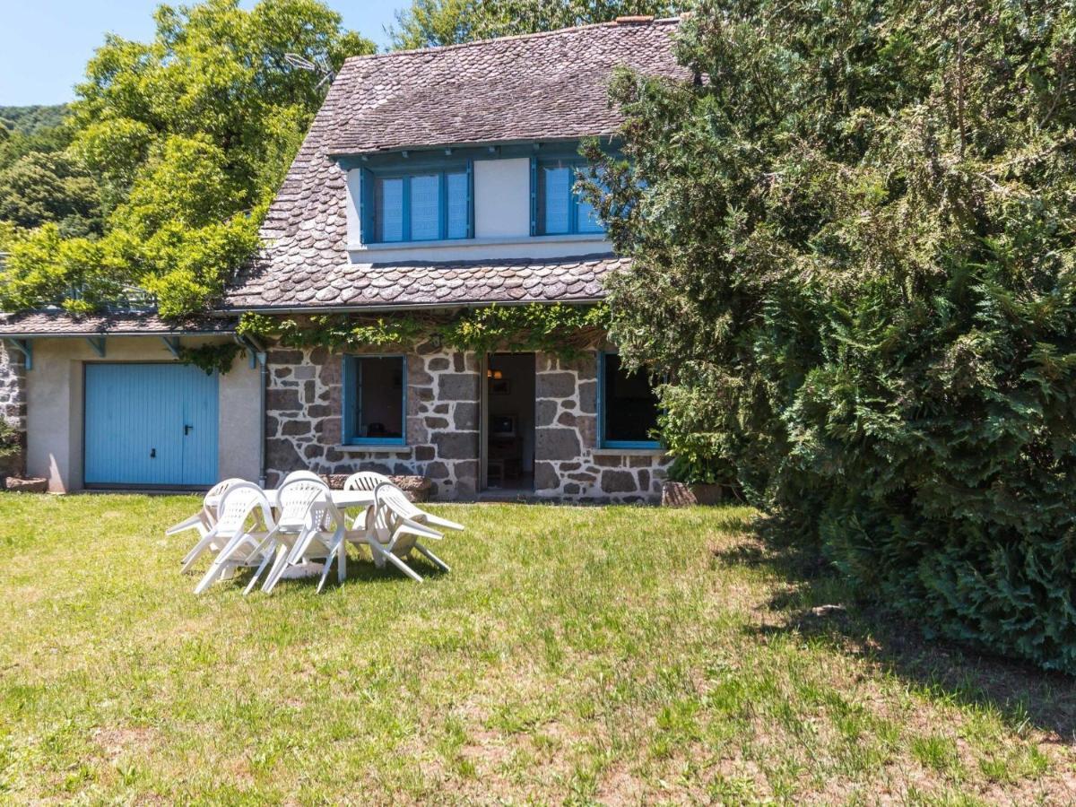 Beautiful Villa In The Parc Des Volcans D Auvergne Vic-sur-Cere Ngoại thất bức ảnh
