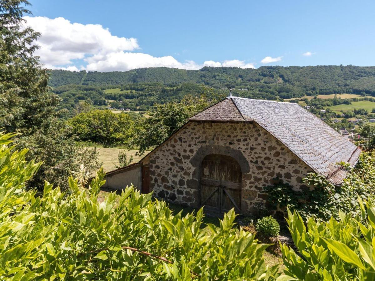Beautiful Villa In The Parc Des Volcans D Auvergne Vic-sur-Cere Ngoại thất bức ảnh