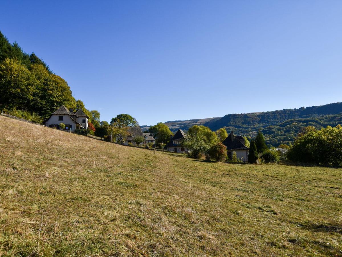 Beautiful Villa In The Parc Des Volcans D Auvergne Vic-sur-Cere Ngoại thất bức ảnh