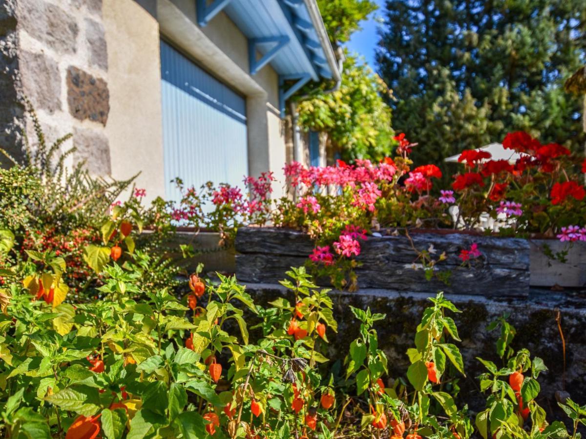Beautiful Villa In The Parc Des Volcans D Auvergne Vic-sur-Cere Ngoại thất bức ảnh