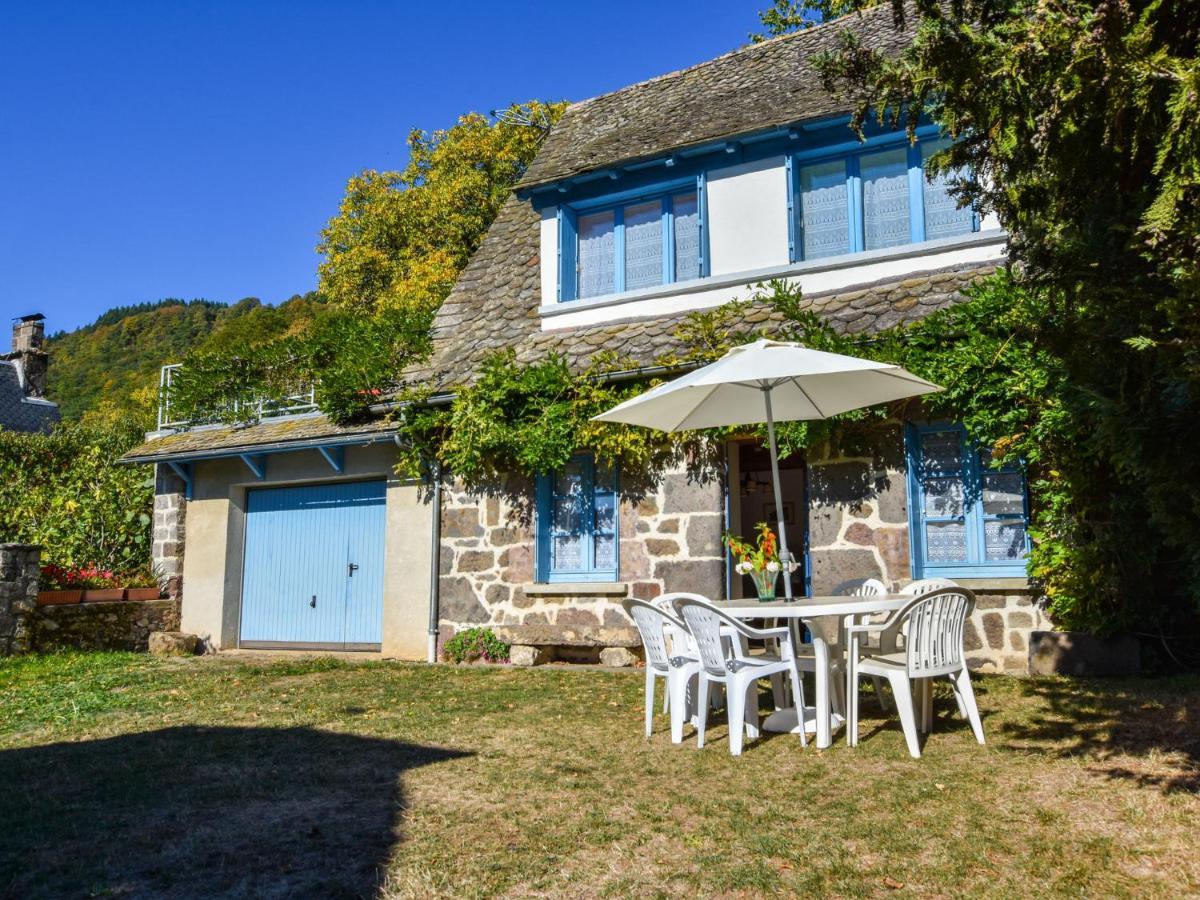 Beautiful Villa In The Parc Des Volcans D Auvergne Vic-sur-Cere Ngoại thất bức ảnh