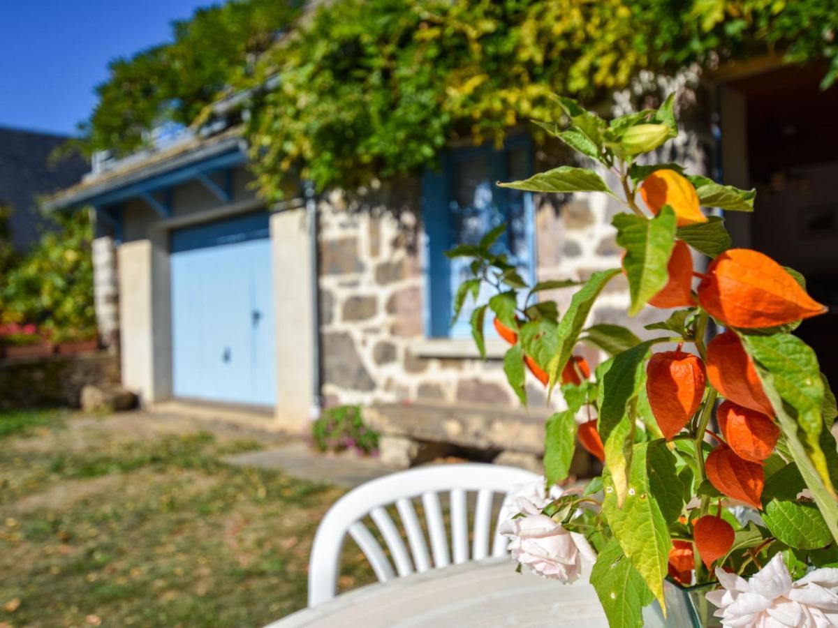 Beautiful Villa In The Parc Des Volcans D Auvergne Vic-sur-Cere Ngoại thất bức ảnh